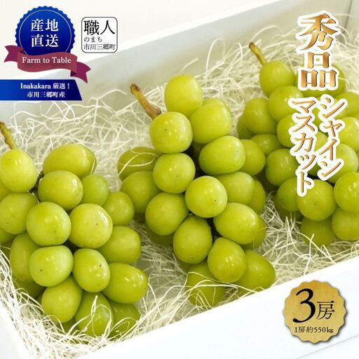 シャインマスカット 【2027年発送】秀品 山梨 3房 (1房約550g) ぶどう 葡萄 山梨県 フルーツ 果物 くだもの ギフト 産地直送 人気  Inakakara厳選 [5839-1979]