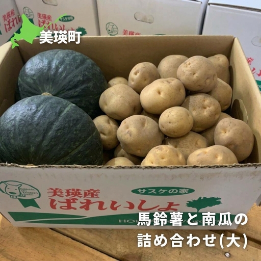【令和9年産 先行予約】じゃがいも かぼちゃ 10kg 詰め合わせ セット 秋野菜セット サスケの家