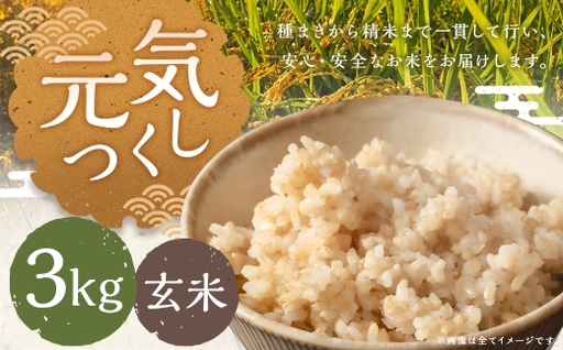 元気つくし 3kg 玄米 お米 米 こめ コメ 飯 ご飯 おにぎり 国産 福岡県産