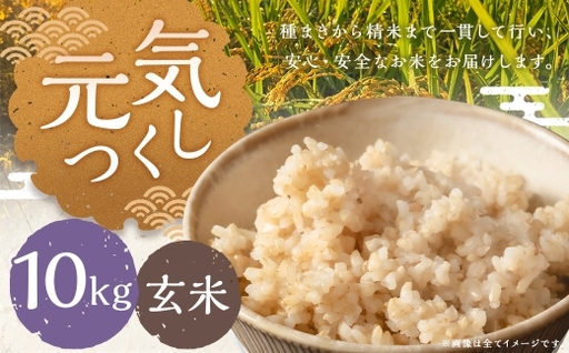 元気つくし 10kg 玄米 お米 米 こめ コメ 飯 ご飯 おにぎり 国産 福岡県産