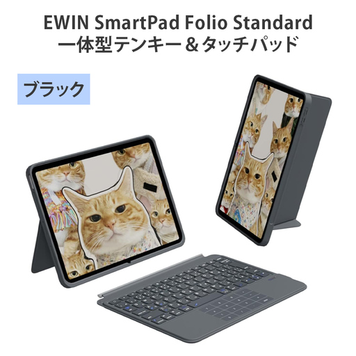 EWIN SmartPad Folio Standard 一体型テンキー&タッチパッド(ブラック) [1692]