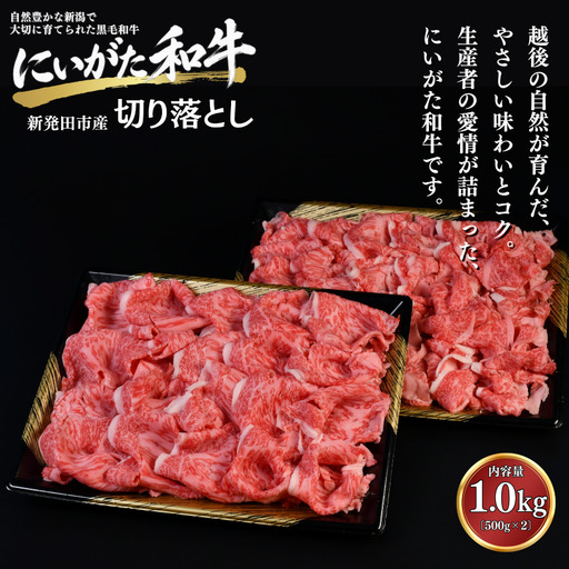 肉 和牛 にいがた和牛 切り落とし 500g × 2袋 にいがた和牛 黒毛和牛 牛肉 ギフト 贈答用 グルメ お取り寄せ 新発田市産 ごちそう 精肉 新潟県 新発田市 yoneichi006