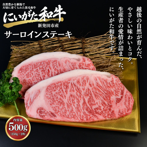 肉 和牛 サーロインステーキ 500g にいがた和牛 黒毛和牛 牛肉 ギフト 贈答用 300g×2袋 グルメ お取り寄せ 新発田市産 ごちそう 精肉 新潟県 新発田市 yoneichi014