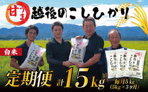 【令和8年産定期便】 3ヶ月 定期便 コシヒカリ 白米 5kg 3ヵ月 15kg 令和8年産 甘うま越後の こしひかり 米 お米 こめ 新潟米 新潟県産 新潟産 新潟 新潟県 新発田産 新発田 新発田市 斗伸 toushin077_01