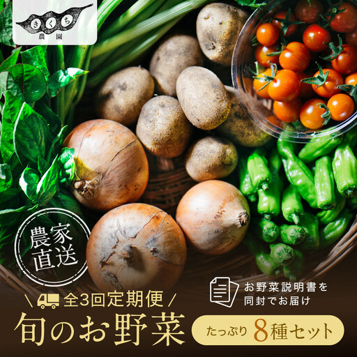 【先行予約 2027年5月より発送】【全3回定期便】農家からお届け！旬のお野菜たっぷり8種セット
