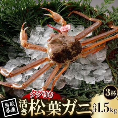 【先行予約】鳥取県産 タグ付き 活 松葉がに 500g×3杯(中村商店)2026年11月発送【配送不可地域：離島・北海道・沖縄県・東北・信越、北陸】【1779405】