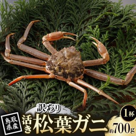【先行予約】鳥取県産 訳あり 活 松葉がに 700g×1杯(中村商店)2026年11月発送【配送不可地域：離島・北海道・沖縄県・東北・信越、北陸】【1779407】