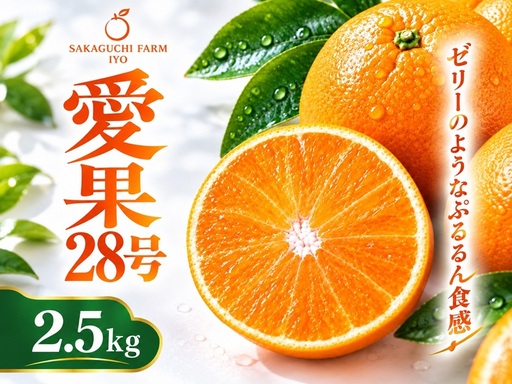 【2026年11月下旬より発送予定】愛果28号 M〜3Lサイズ混合 2.5kg｜B578