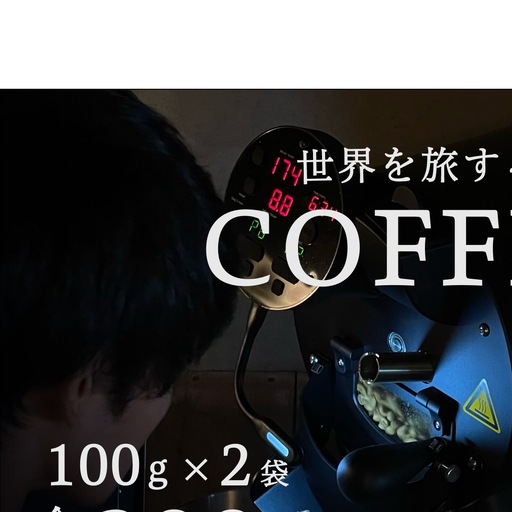 店主おまかせ中煎り2種セット（100ｇ×2袋）／珈琲シカ。 コーヒー シングルオリジン エチオピア グアテマラ ブラジル インドネシア 焙煎豆 奈良県 宇陀市