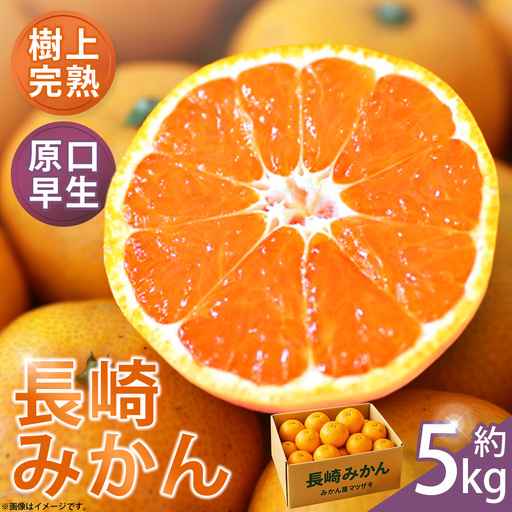 樹上完熟 ・ 長崎みかん （ 原口早生 ） 約5kg 果物 フルーツ 国産 長崎県産 果実 果汁 果肉 柑橘 【 2026年11月下旬～12月上旬発送予定 】
