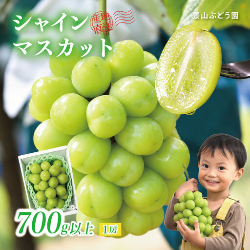 [2026年発送]ぶどう シャインマスカット 700g 訳あり 家庭用 岡山