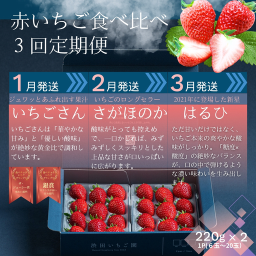[先行受付!2027年1月から発送開始]赤いちご食べ比べ定期便 全3回(1月〜3月):B280-010