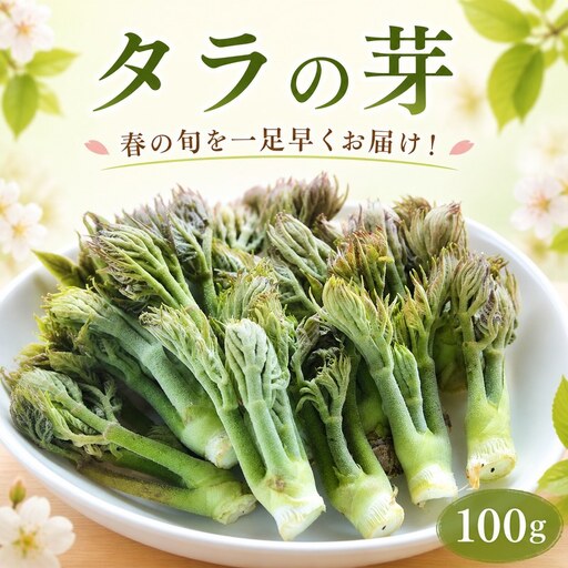 [ 先行予約 ] タラの芽 100g 春の味覚 たらの芽 山菜 三好市 徳島