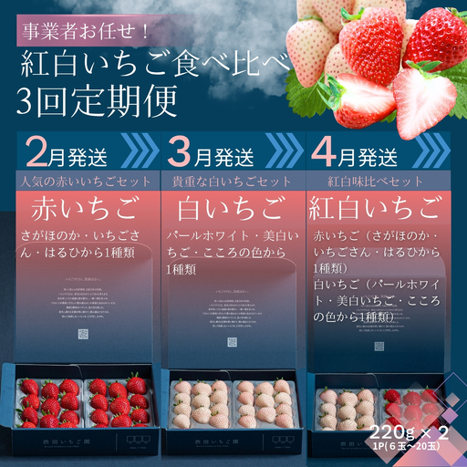 【先行受付！2027年2月から発送開始】事業者お任せ！紅白いちご食べ比べ定期便　全3回（2月〜4月）：B400-025