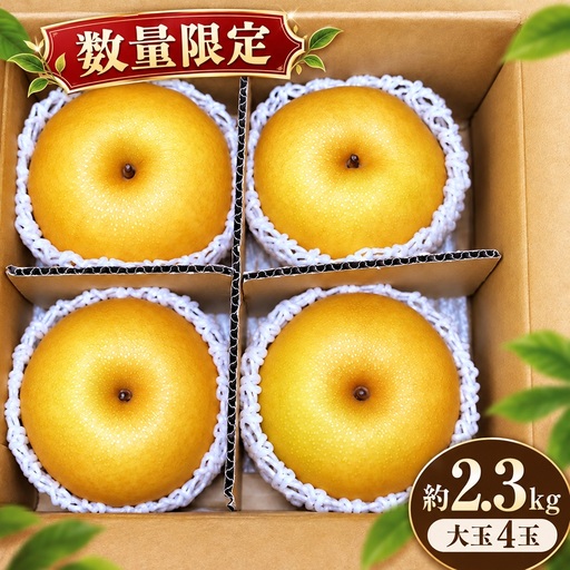 【数量限定】南信州生まれのジューシーで甘い梨「南水梨」 約2.3kg 大玉4玉 糖度14.0以上 | 下伊那園芸農業協同組合