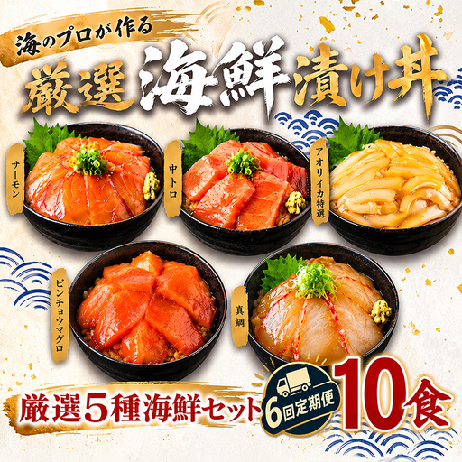 【定期便6回】タカシン水産の海鮮漬け丼(5種)80g×5パック入 酒の肴に海鮮丼に茶漬けに飯ともに