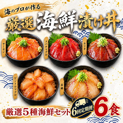 【定期便6回】タカシン水産の海鮮漬け丼(5種)80g×6パック入 酒の肴に海鮮丼に茶漬けに飯ともに