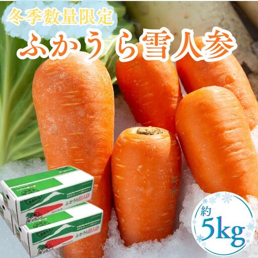 【冬季数量限定】ふかうら雪人参 約5kg 青森県 深浦町産
