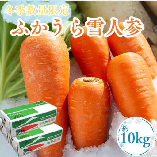 【冬季数量限定】ふかうら雪人参 約10kg 