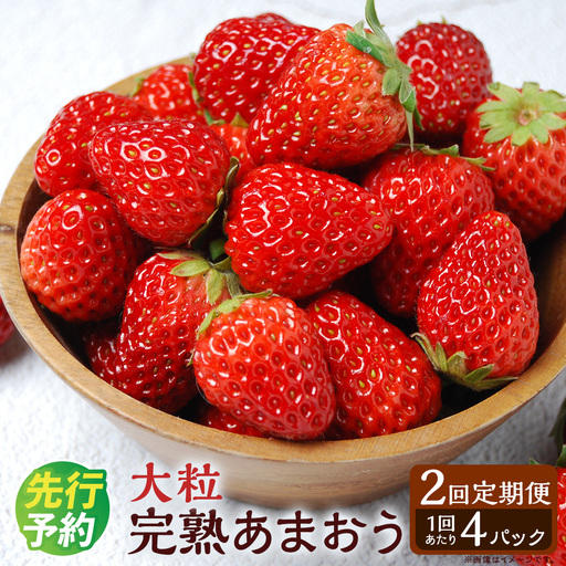 ［ 定期月指定2回 ］ 2回定期便 完熟あまおう （ 大粒サイズ ） 約275g × 4パック いちご 果物 フルーツ 果実 果汁 果肉 甘み 国産 福岡県産 ビタミンC 冷蔵 定期発送 【 2027年1月上旬-2月下旬迄発送 】