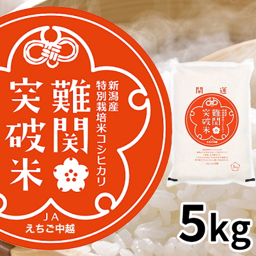 令和8年産 難関突破米 5kg お米 コシヒカリ新潟県田上町