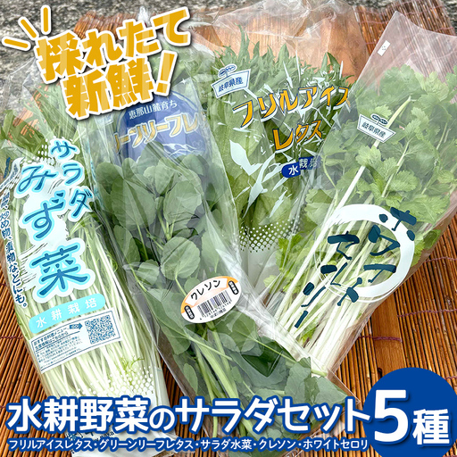 採れたて新鮮 水耕野菜のサラダセット 5種 フリルアイスレタス・グリーンリーフレタス・サラダ水菜・クレソン・ホワイトセロリ 野菜 新鮮 サラダ