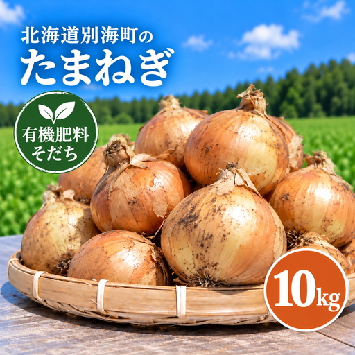 北海道 別海町産 玉ねぎ 10kg セット 農薬・化学肥料不使用 有機肥料 育ち （ ふるさと納税 野菜 訳あり やさい 無農薬 北海道 別海町 ）