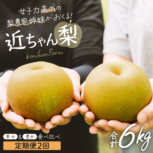 近ちゃん梨 食べ比べセット 合計6kg [幸水・豊水] 各3kg 定期便2027年8月9月発送 [B-6304]