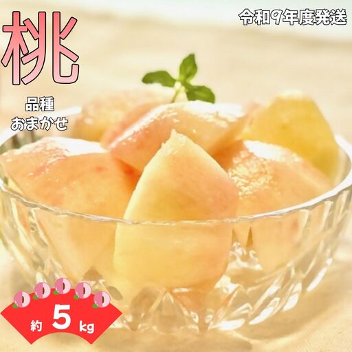 W08 南信州産 「桃」 品種おまかせ 約5kg