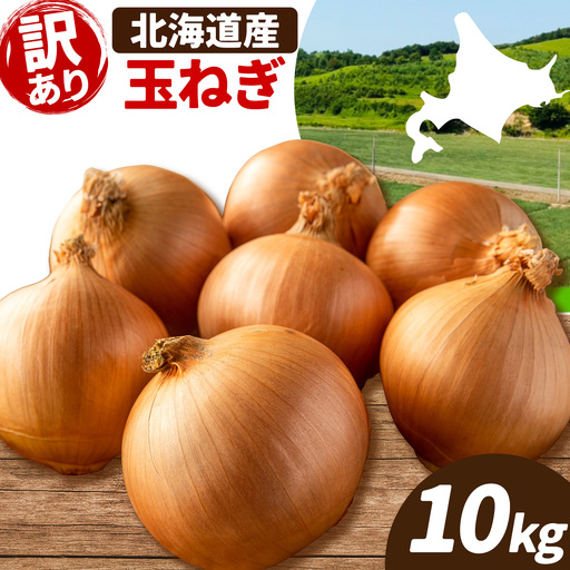 訳あり 野菜 玉ねぎ 10kg B&T TRADING株式会社
