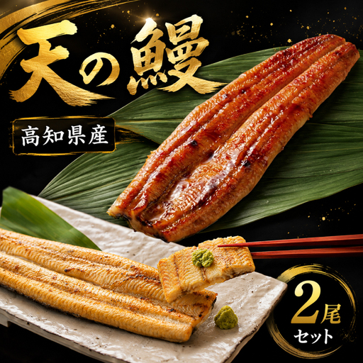 三代目天の鰻 蒲焼き1尾 白焼き1尾 計2尾 セット 土佐料理司
