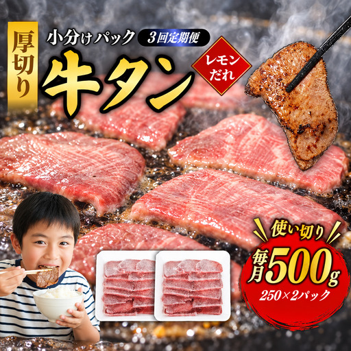 牛タン 定期便3回 薄切り牛タン 500g (合計1.5kg) 冷凍