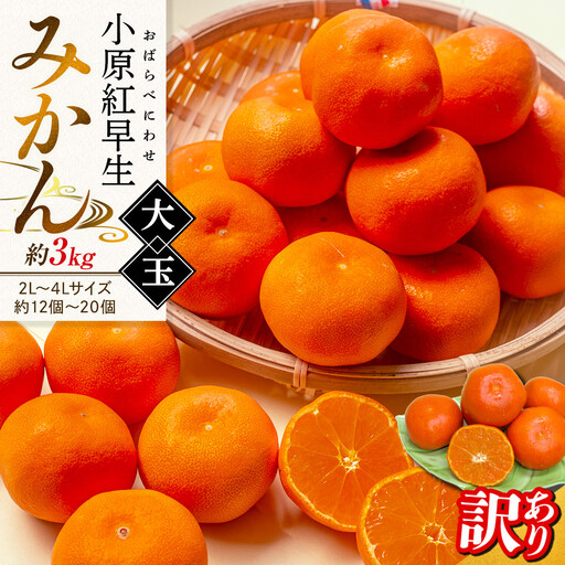 [11月下旬頃〜発送]訳あり 小原紅早生みかん (大玉) 約3kg