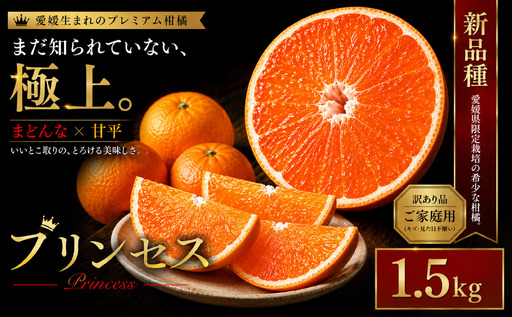 [極少量品種 愛媛県産プリンセス 合計約1.5kg]『2027年2月下旬〜3月下旬迄に順次出荷予定』訳あり 希少品種 ミカン 蜜柑 ご家庭用 果汁 果物 くだもの フルーツ オレンジ 柑橘 人気柑橘 特産品 極尽道 愛媛県 西予市 [常温]OKS0025