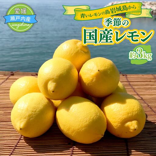 【配送エリア：北海道・沖縄・離島以外】青いレモンの島 レモン約3kg