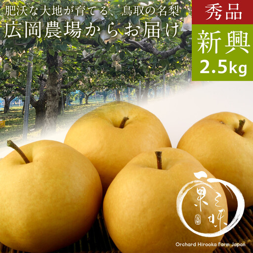 秀品 新興梨（2.5kg前後）【鳥取県 境港市】