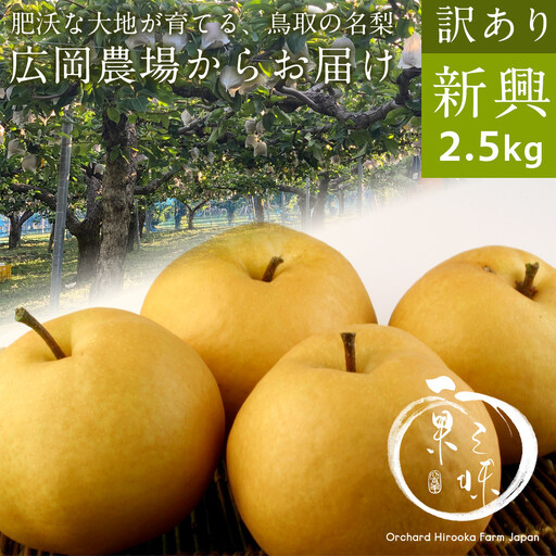 訳あり新興梨（2.5kg前後）【鳥取県 境港市】