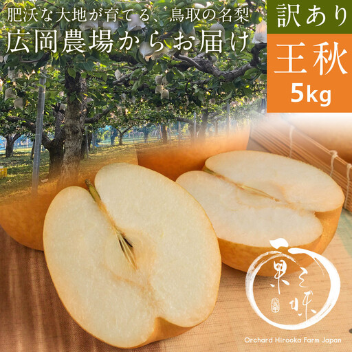 訳あり王秋梨（5kg前後)【鳥取県 境港市】