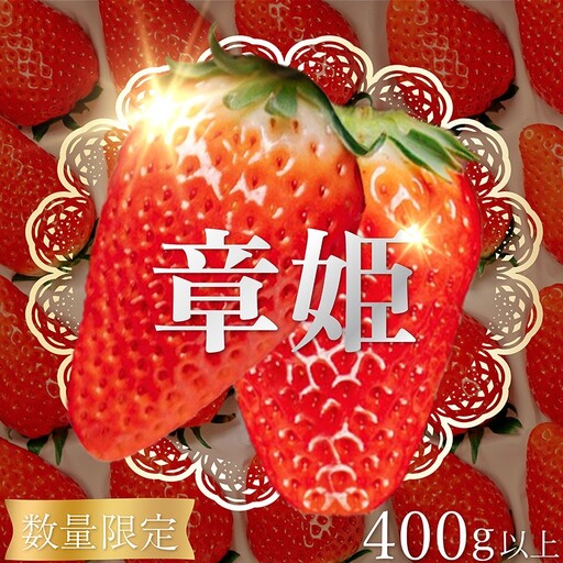 [数量限定 先行予約]京丹後産いちご 章姫 400g以上|イチゴ