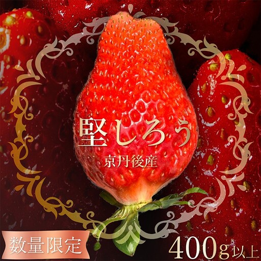 【限定100個】先行予約　京丹後産いちご堅しろう　400g以上（9～12粒）　いちご、イチゴ、あきひめ、章姫、京丹後、丹後、フルーツ、美食