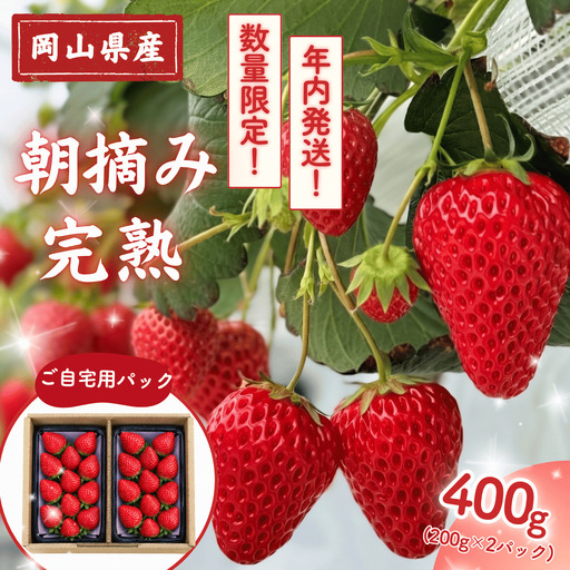 【年内発送・12/27～12/30】朝摘み 完熟いちご 自宅用 400g(200g×2) M-FI-A52A