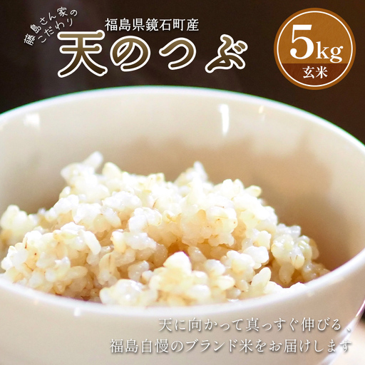 福島県鏡石町産 藤島さん家のこだわり天のつぶ 玄米 5kg 米 こめ コメ ご飯 ごはん お取り寄せ 仕送り 人気 おすすめ F6Q-549