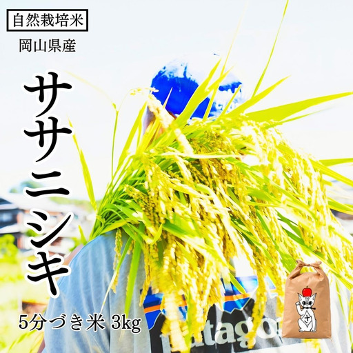 新米 令和8年産 [先行予約] 瀬戸内 自然栽培米 「ササニシキ」5分づき米 3kg 無農薬 無肥料 米 自然栽培 こめ 岡山県 瀬戸内市 さしすせそ Wacca Farm