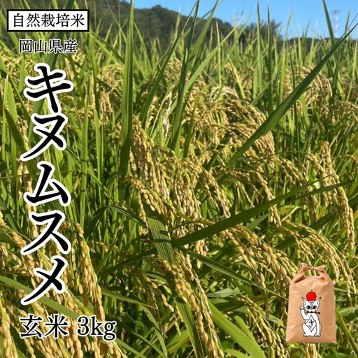 新米 令和8年産 [先行予約] 瀬戸内 自然栽培米 「キヌムスメ」玄米 3kg 無農薬 無肥料 米 自然栽培 こめ 岡山県 瀬戸内市 さしすせそ Wacca Farm