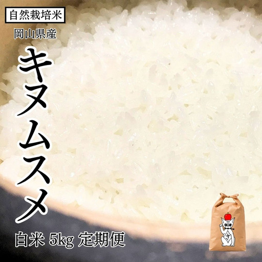 新米 令和8年産 【先行予約】 瀬戸内 自然栽培米 「キヌムスメ」白米 5kg 定期便 3ヵ月 無農薬 無肥料 米 自然栽培 こめ 岡山県 瀬戸内市 さしすせそ Wacca Farm