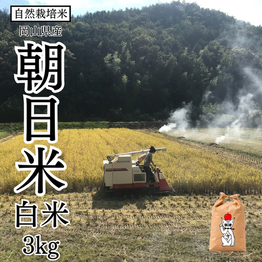 新米 令和8年産 【先行予約】 瀬戸内 自然栽培米 「朝日米」白米 3kg 無農薬 無肥料 米 自然栽培 こめ 岡山県 瀬戸内市 さしすせそ Wacca Farm