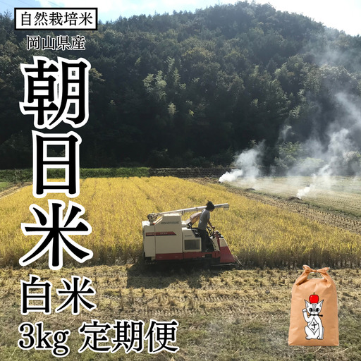 新米 令和8年産 【先行予約】 瀬戸内 自然栽培米 「朝日米」白米 3kg 定期便 3ヵ月 無農薬 無肥料 米 自然栽培 こめ 岡山県 瀬戸内市 さしすせそ Wacca Farm