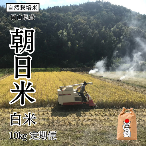 新米 令和8年産 【先行予約】 瀬戸内 自然栽培米 「朝日米」白米 10kg 定期便 12ヵ月（隔月配送） 無農薬 無肥料 米 自然栽培 こめ 岡山県 瀬戸内市 さしすせそ Wacca Farm