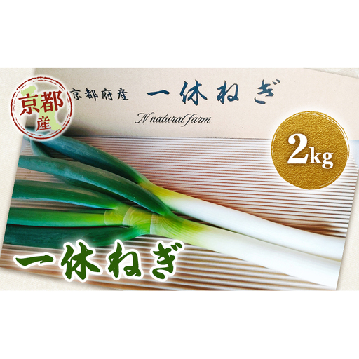 野菜 一休ねぎ 2kg 京田辺 野菜