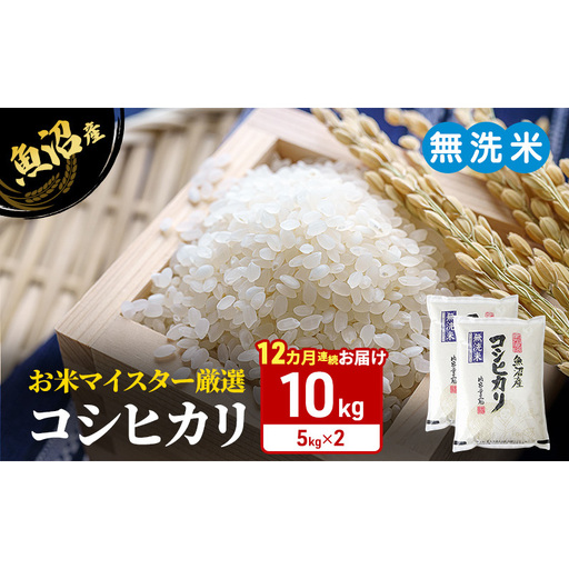 お米マイスター厳選　魚沼産コシヒカリ（無洗米）10kg（5kg×2） 12ヶ月連続お届け 米 お米 こしひかり 定期 定期便 魚沼市